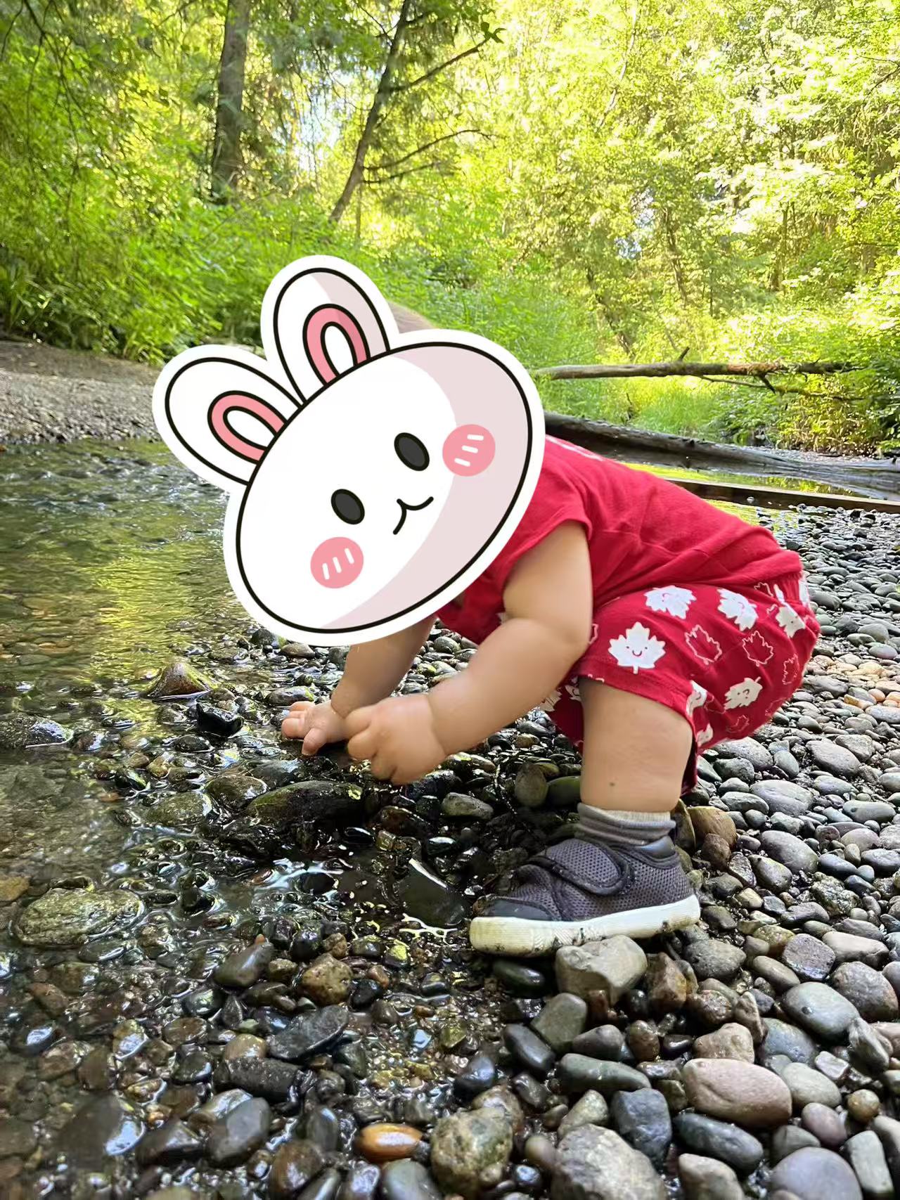 Children exploring and having fun in nature at Forest Cubs Childcare