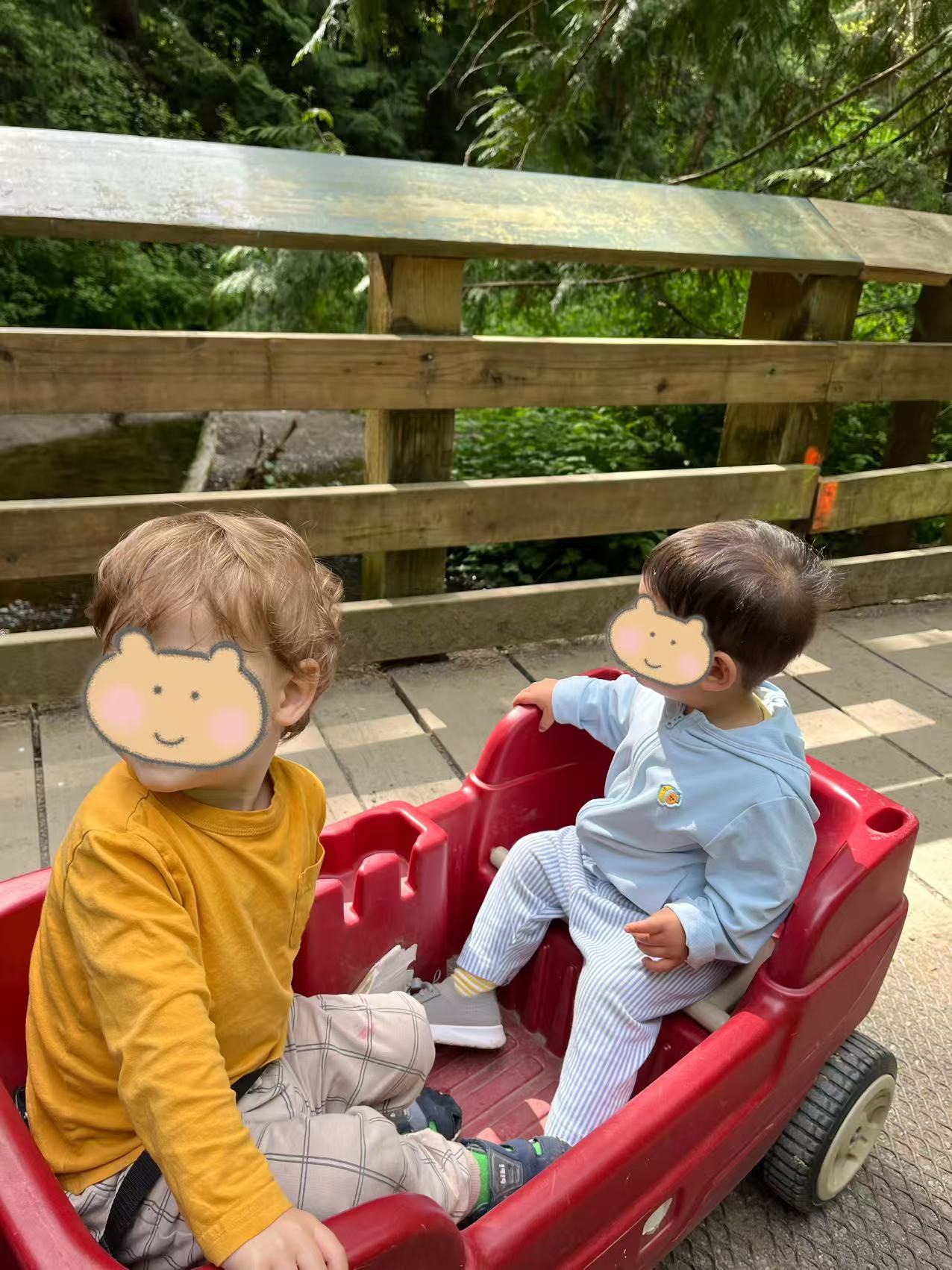 Children exploring and having fun in nature at Forest Cubs Childcare