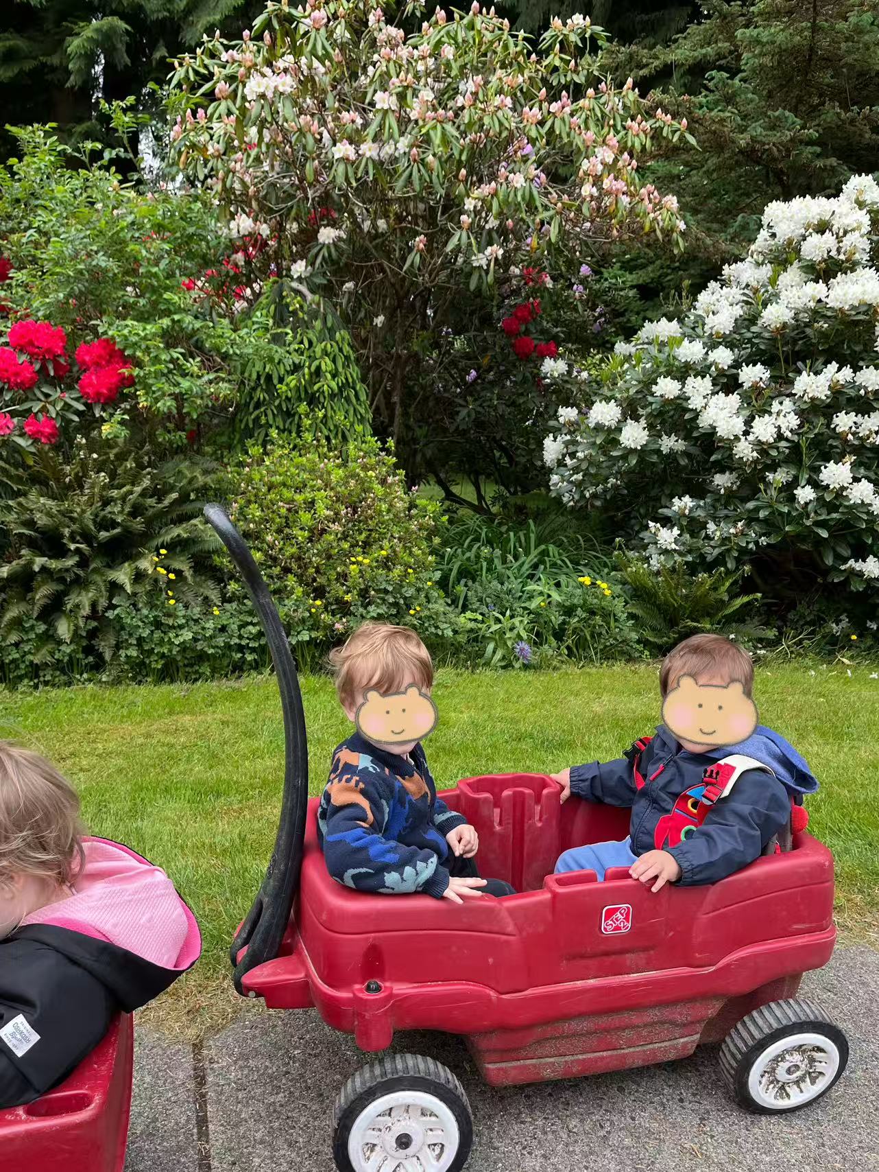 Children creating lasting memories through outdoor exploration at Forest Cubs Childcare