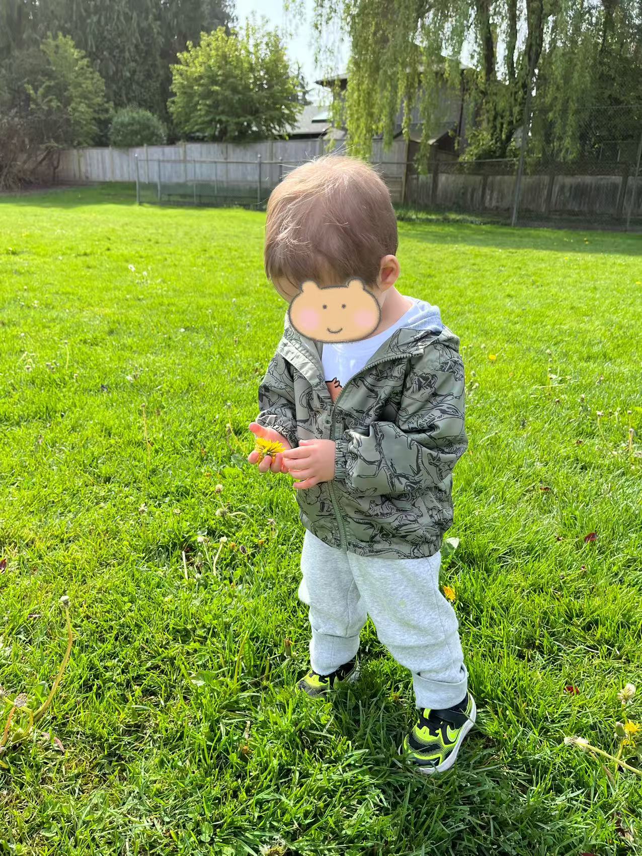 Children exploring and having fun in nature at Forest Cubs Childcare