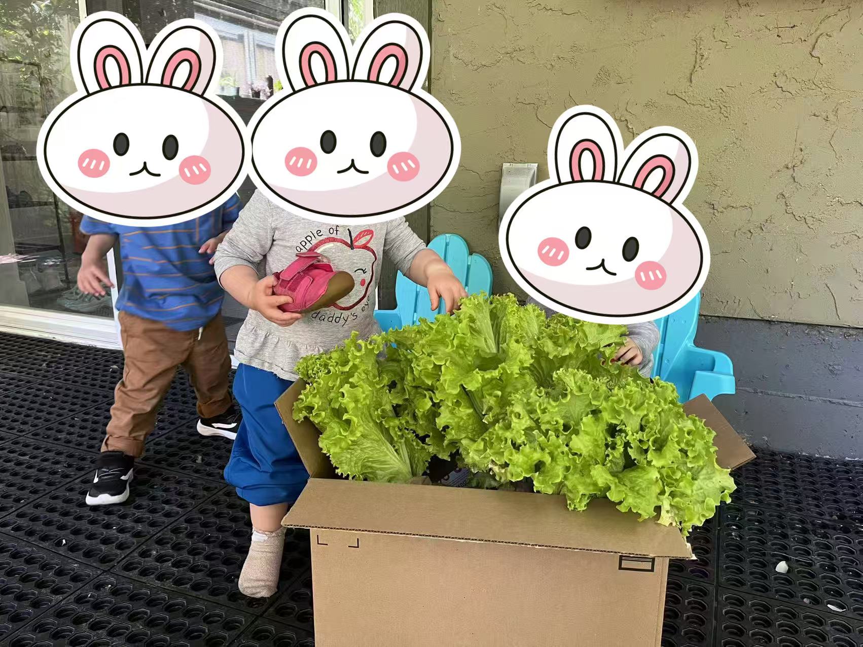 Children enjoying outdoor activities at Forest Cubs Childcare