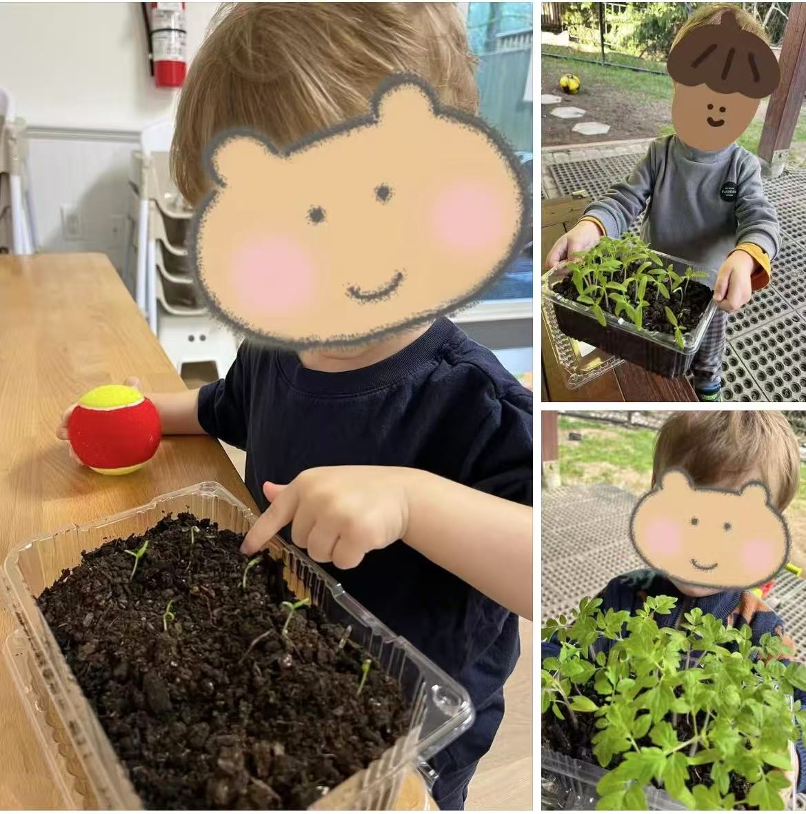 Children creating lasting memories through outdoor exploration at Forest Cubs Childcare