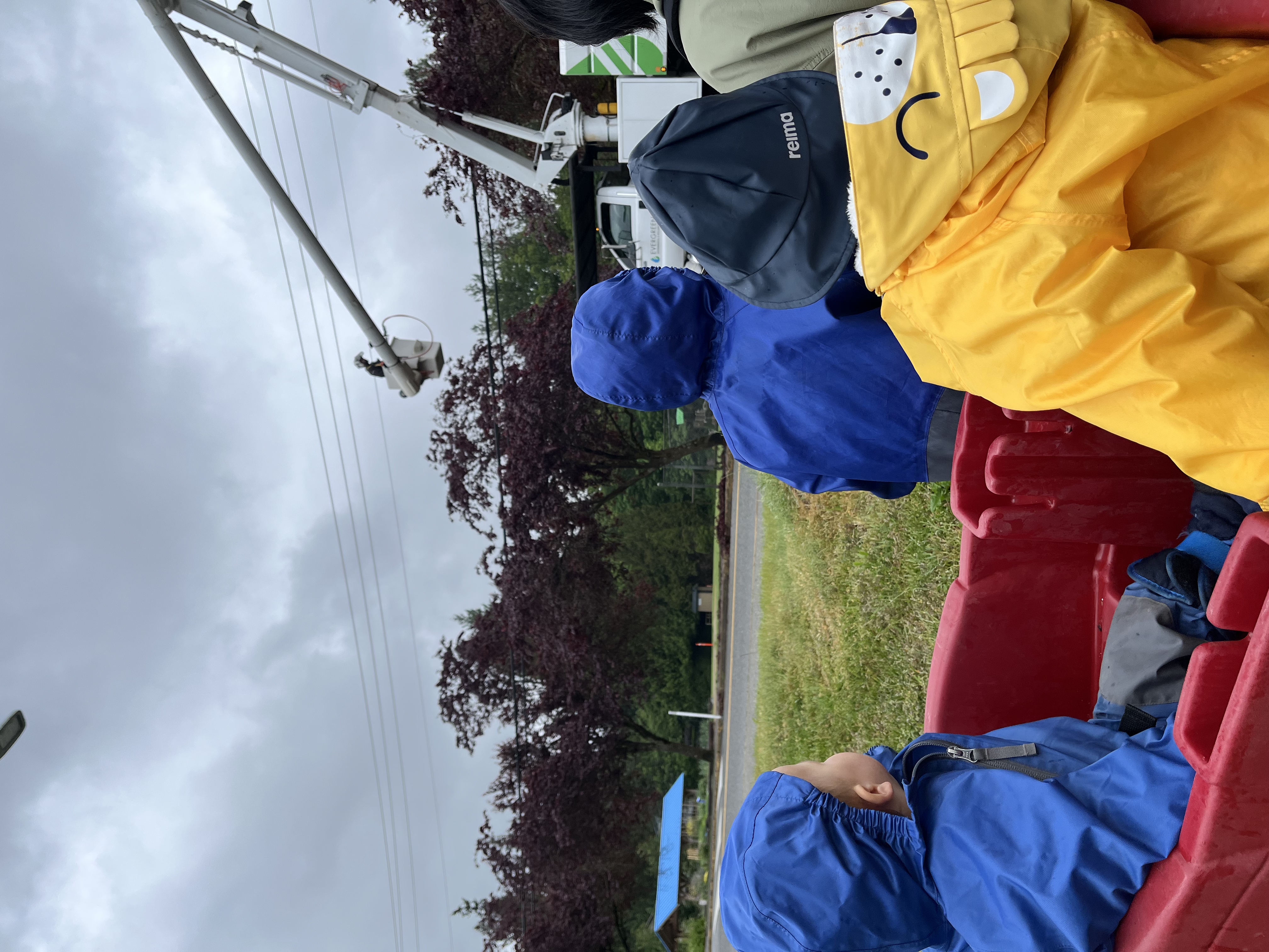 Children exploring and having fun in nature at Forest Cubs Childcare