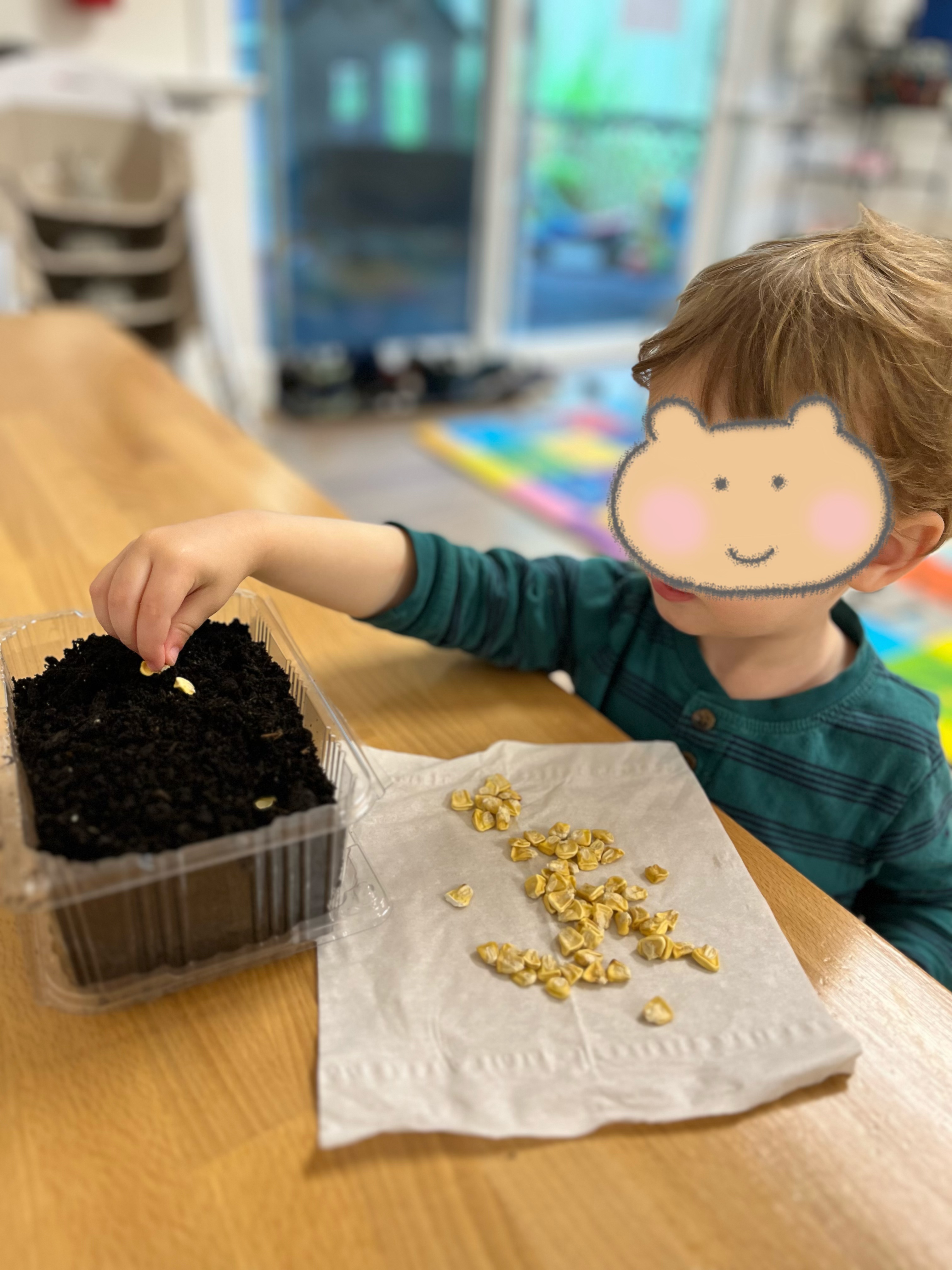 Children having fun and learning through play at Forest Cubs Childcare