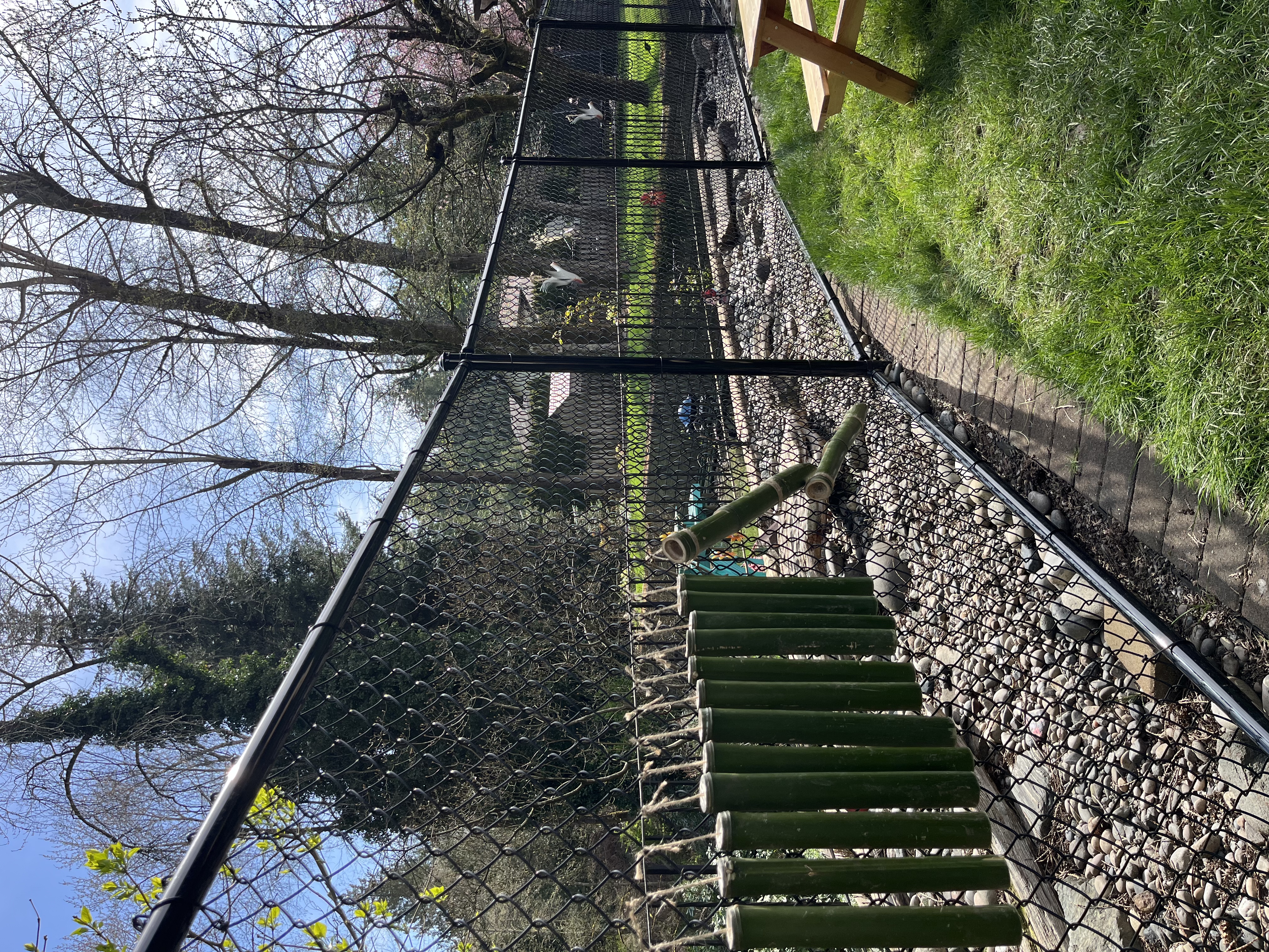 Outdoor bamboo toys and play area at Forest Cubs Childcare