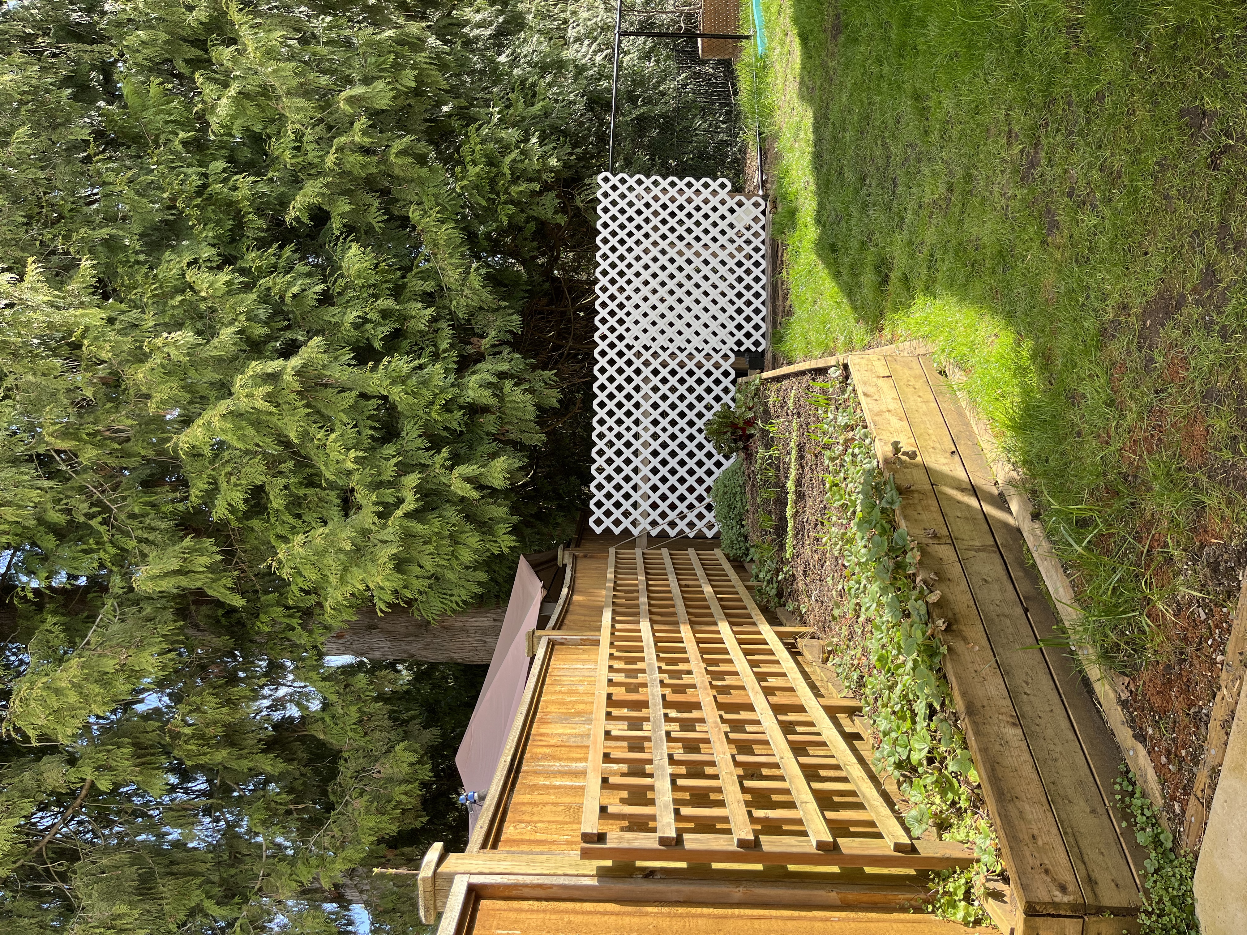 Outdoor garden space at Forest Cubs Childcare